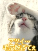 NowLoading...