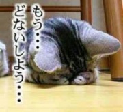 NowLoading...