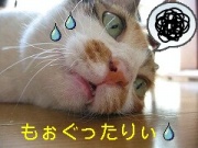 NowLoading...