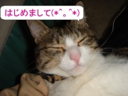NowLoading...