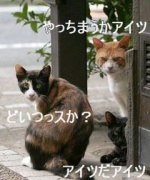 NowLoading...