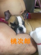 NowLoading...