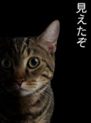 NowLoading...