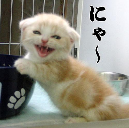 NowLoading...