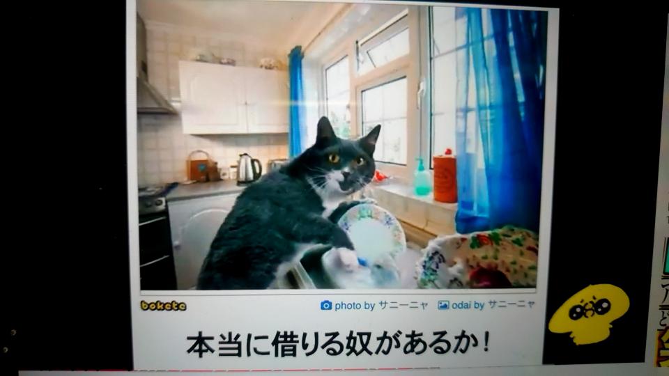 NowLoading...