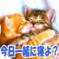 NowLoading...