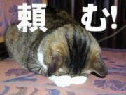 NowLoading...