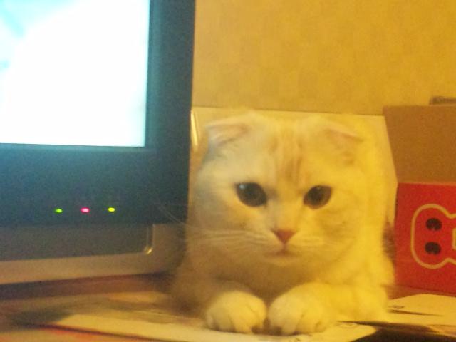 NowLoading...