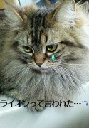 NowLoading...