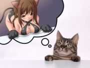 NowLoading...