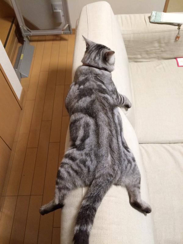 NowLoading...
