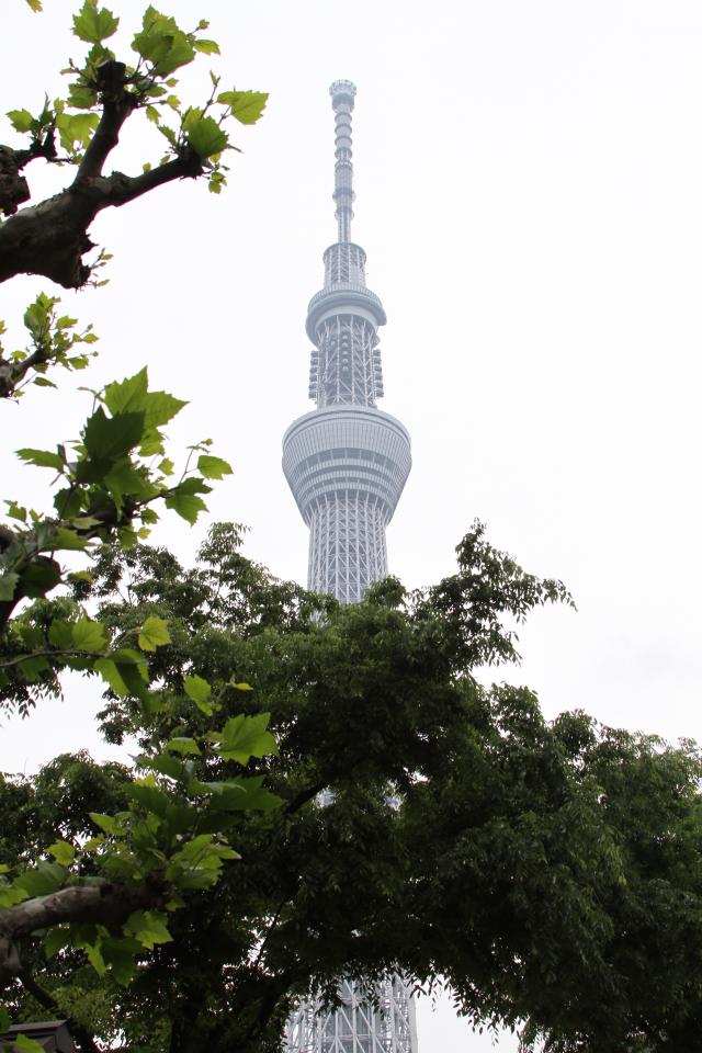 NowLoading...