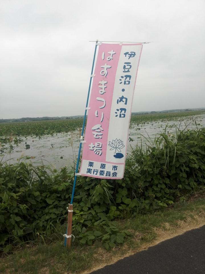 NowLoading...