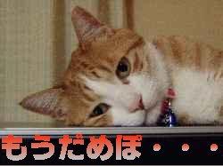 NowLoading...