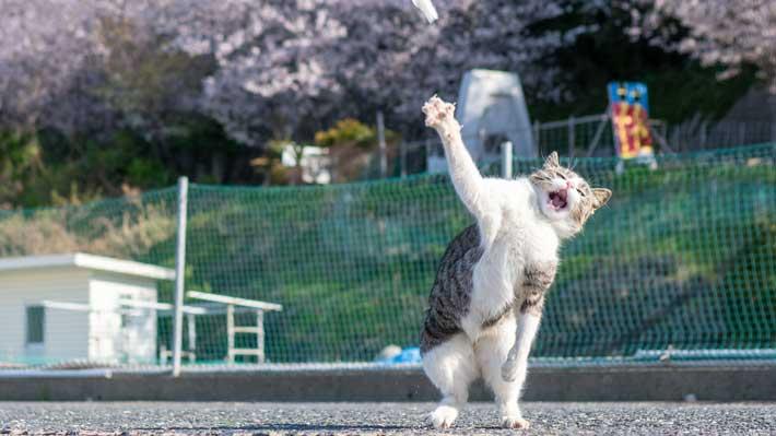 NowLoading...