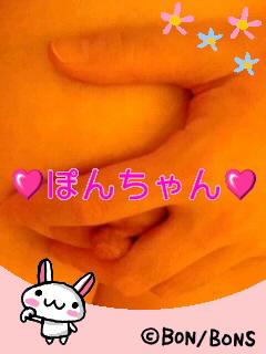 NowLoading...