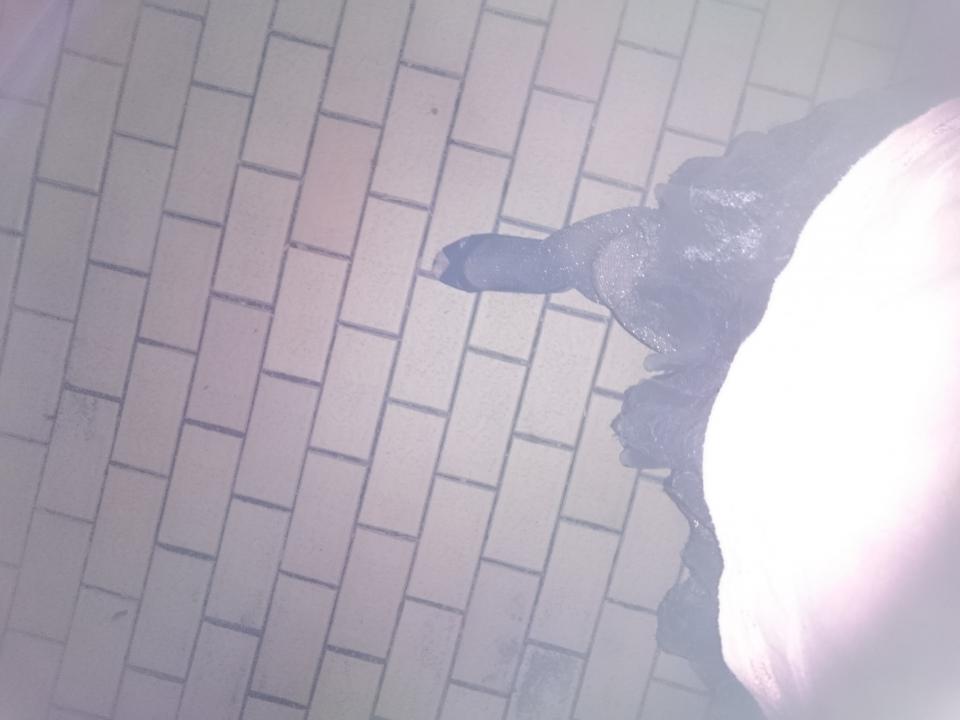 NowLoading...