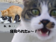 NowLoading...