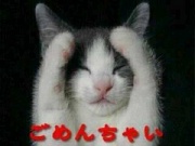NowLoading...