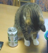 NowLoading...