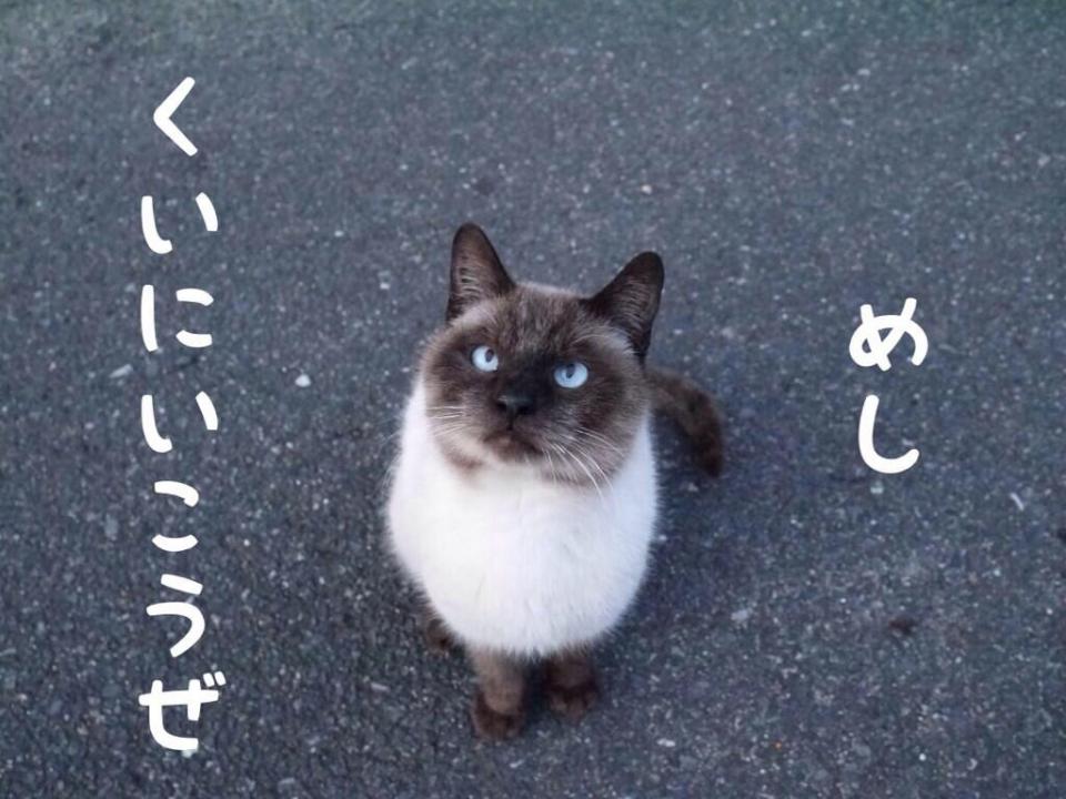 NowLoading...