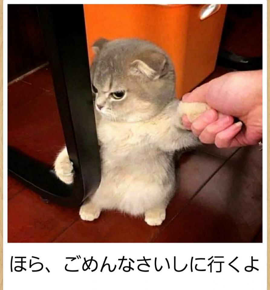 NowLoading...