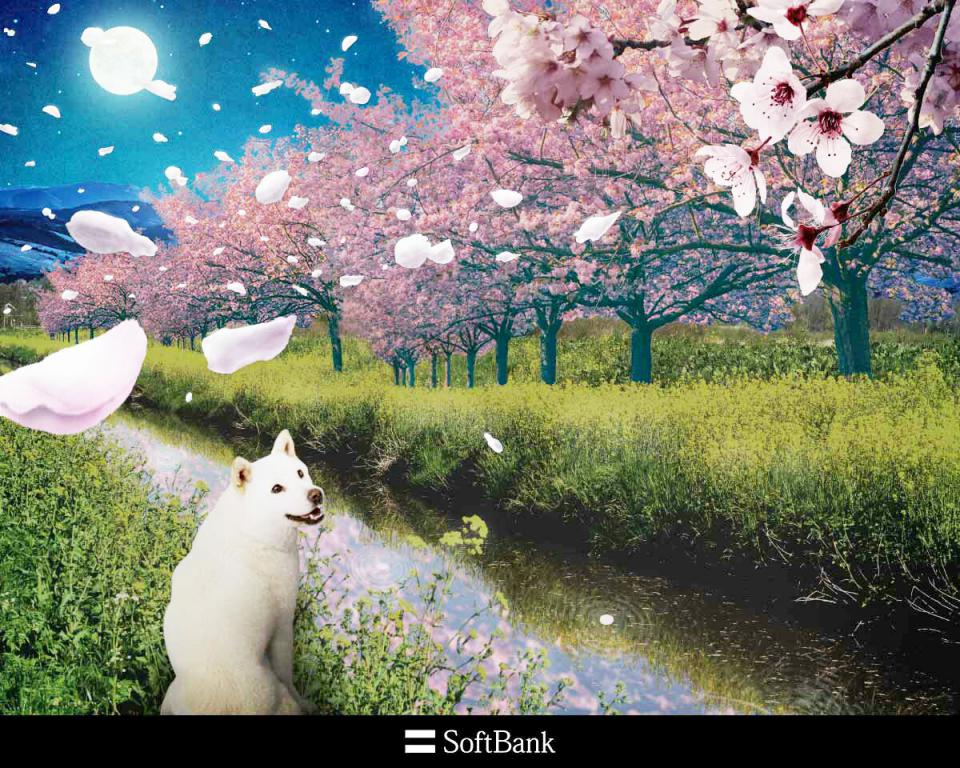 NowLoading...