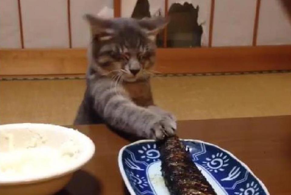 NowLoading...