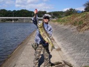 NowLoading...