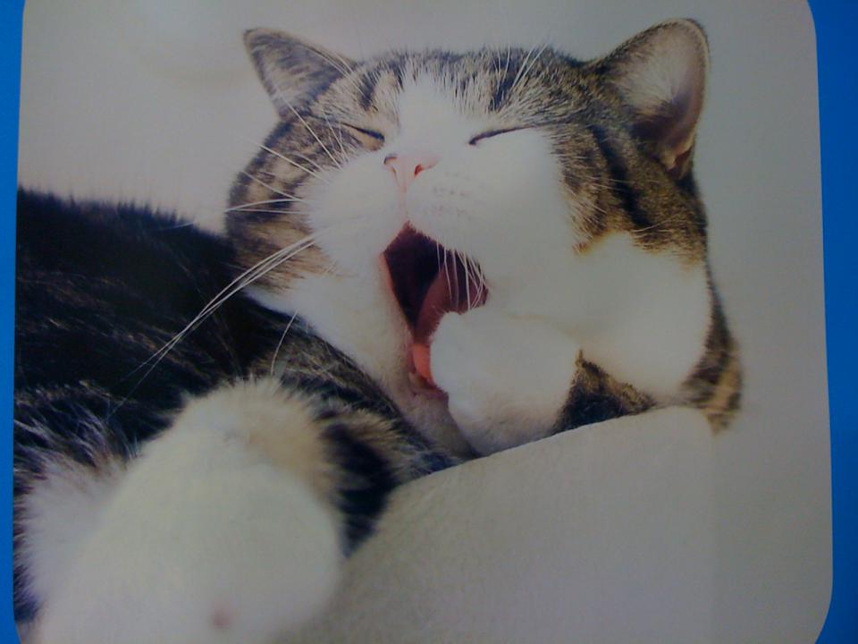 NowLoading...