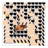 profile_image