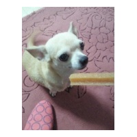 profile_image
