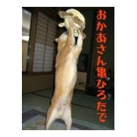 profile_image