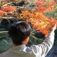profile_image