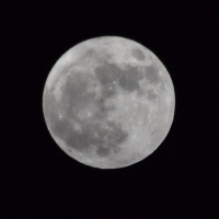 profile_image