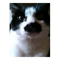 profile_image