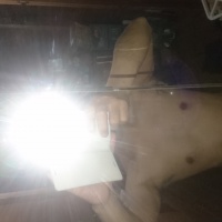 profile_image