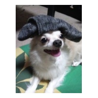 profile_image
