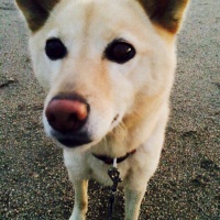 profile_image