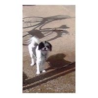 profile_image