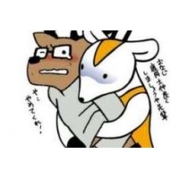 profile_image