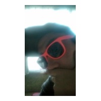 profile_image
