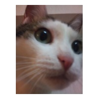 profile_image