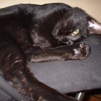 profile_image
