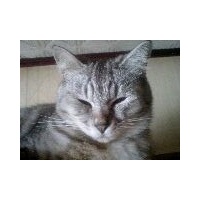 profile_image