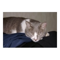 profile_image