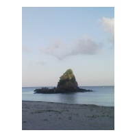 profile_image
