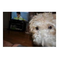 profile_image