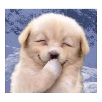 profile_image