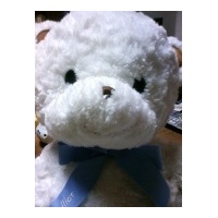 profile_image